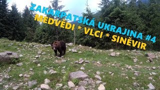 Zakarpatská Ukrajina #4 * Národní park Siněvir * Medvědi a vlci * Za východem slunce