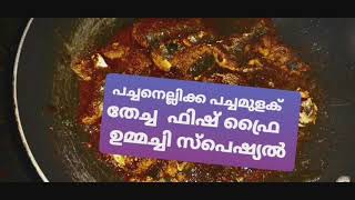 ഇന്നേവരെ കഴിച്ചിട്ടില്ലാത്ത കിടിലൻ ഫിഷ് ഫ്രൈ😋😋😋