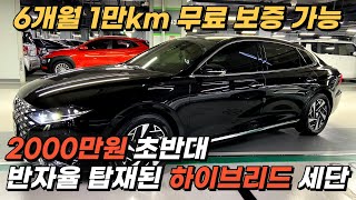 6개월 1만km 무료 보증 가능한, 2000만원 초반대 가성비 좋은 반자율 탑재된 국내 프리미엄 하이브리드 세단