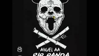 Anuel AA - Rip Panda (Tiraera a Almighty)