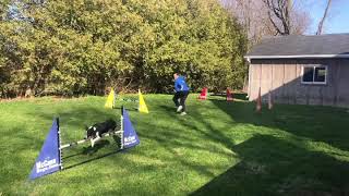 Online Training with Professional Agility Coach, Kayl McCann