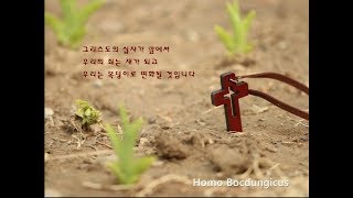 FUNWorship 정릉 벧엘교회 주일 예배 - 2019.08.18