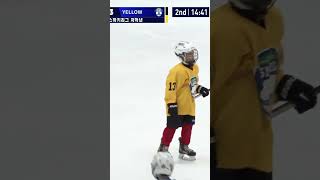 #hockeytv PICK!🏒#goalclip 하키티비 골장면🔥🔥#hockey #하키티비 #icehockey  #goal  #shorts  #골클립 #snhl