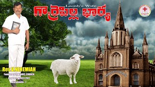 గొర్రెపిల్ల భార్య.... || Lamb's Wife🐑