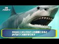 【衝撃】実在する動物ランキングがツッコミどころ満載だったwwwwww傑作選 88【なろ屋】【ツッコミ】