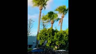 Adorable bird makes appearance during cloud time lapse recording ☁️🐦