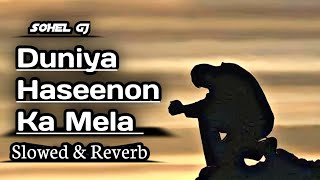 Duniya Haseenon Ka Mela | Slowed & Reverb | Udit Narayan, Sunita Rao | Gupt | Hindi Lofi Songs