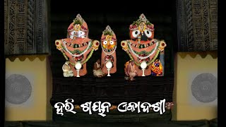 Hari Shayan Ekadashi rituals of Mahaprabhu Jagannath । ଶ୍ରୀଜୀଉଙ୍କ ହରି ଶୟନ ଏକାଦଶୀ ନୀତି