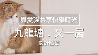 設計精華｜【與愛貓共享快樂時光】｜九龍塘 . 又一居｜OUT OF STOCK