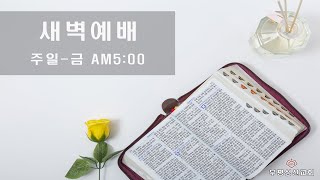 부평성산교회/2025년 2월 13일(목)-새벽도회-오전 5시