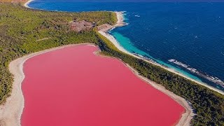 10 Weird Things That Actually Exist on Earth!😱