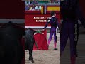 Bullfighting Victim Takes His Last Steps