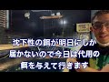 「最近食欲落ちてませんか？」食べない鯉達にあの餌を与えると食べ始めました