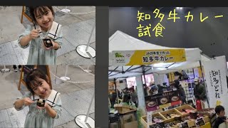 知多牛カレー試食〜知多どれフェスティバル〜愛知国際展示場〜JAが本気で作った知多牛カレー（2024年2月2日）