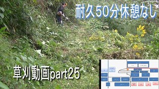 【山小屋生活】【VLOG】山の簡単な地図で草刈り紹介（耐久５０分）【草刈動画ｐａｒｔ２５】【Mowing man】