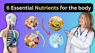 6 essential nutrients for proper body functions