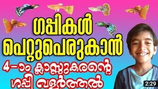 ഗപ്പികൾ പെറ്റുപെരുകാൻ... (മഹാദേവൻ കൊപ്പം) Guppies breed quickly (Mahadevan Koppam)