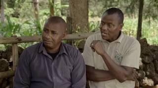 Shamba Shape Up Sn 8 - Ep 18: Pig Farming, Digi Farm, Post Harvest Losses (Swahili)