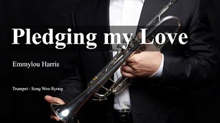 Pledging my Love  / 사랑의 서약 / Emmylou Harris / Trumpet cover /송우룡