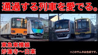 【東急東横線】妙蓮寺〜白楽を通過する列車をひたすら愛でる動画。