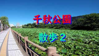 秋田　千秋公園（青空バージョン）　お散歩(ウォーキング)動画　２