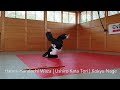 aikido exam sandan 3rd degree black belt budokan wels austria 2022