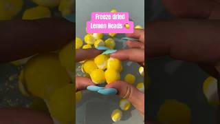 Freeze Dried Candy | 🍋 Lemon Heads #trending #freezedried #candy #review #shorts
