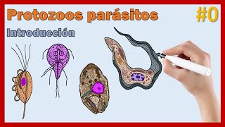 #0. Introducción a los protozoos parásitos