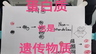 蛋白质也是遗传物质-非孟德尔遗传 错误的教科书系列 (3/n)