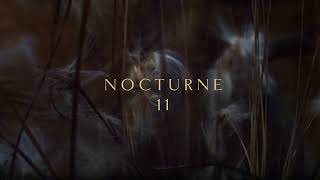 Craig Armstrong  Nocturne 11