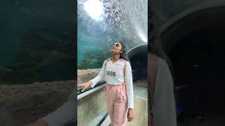 දිය යට උමග (Under water tunnel)😳😱 |Nethra Sewwandi #shorts #trending #underwater #underwatertunnel