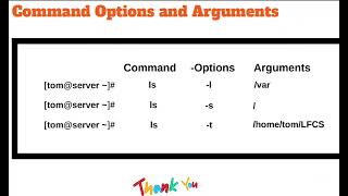 Basic Command Options and Arguments in Linux #commandandconquer #linux #redhat
