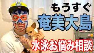 みんなの水泳の悩みに答えます！