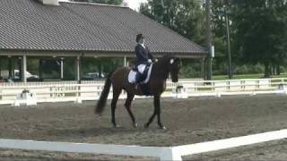 Lord Ludger Champion Fourth Level Dressage  Stone Tavern 2009