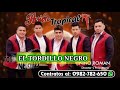 El regreso del tordillo negro/Pasion tropical