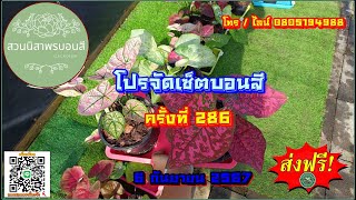 🔵 โปรจัดเซ็ตบอนสี ครั้งที่ 286 🔵 จัดเซ็ตสวยๆ 6 ก.ย. 67 โทร / ไลน์ 0805194988