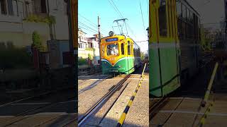 【鹿児島市電615号】【南港踏切】を通過します。#shorts #路面電車 #tram