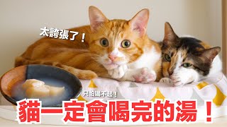 【好味小姐】做了一碗貓咪一定超愛的湯！只是會被喝垮｜貓副食｜好味貓鮮食廚房EP176
