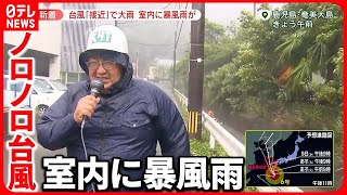 【台風6号】「宿泊者ゼロ」“アメリカ軍仕様”素材で暴風対策のホテル  奄美地方