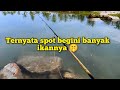 Mancing dimuara umpan udang hidup & tehnik pelampung | Ultralight fishing | Indonesia fishing videos