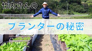 【自然菜園】竹内さんのプランターご紹介！しっかり育ってます！