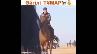 Бойтұмар мен Айтұмар 😎🔥🐴 #кокпар #аттар #казакстан