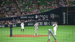 2022.6.7 阪神　大山　タイムリーツーベース