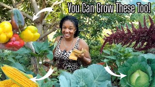 Top Question On My YouTube Channel! Where To Get Seeds Locally? SEEDS 101