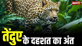 Dhamtari News Live: तेंदुए के दहशत का अंत। वन विभाग के लगाए पिंजरे में फंसा खूंखार तेंदुआ। देखिए..