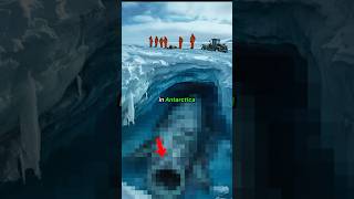 Shocking Discovery In Antarctica Shorts