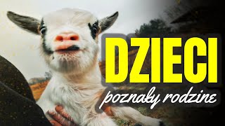 🐐 KOŹLĘTA POZNAŁY RESZTE STADA 🐐 dopieszczam nowy kurnik 🔨 MOJE MINI ZOO / odc. 567