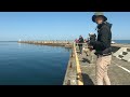 beginner couple fishing in japan sally and kisuke