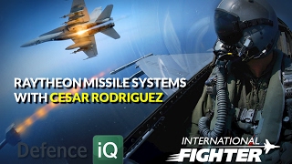 International Fighter: Raytheon Missile Systems