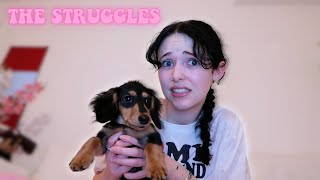 THE STRUGGLES OF HAVING A PUPPY... (DOG DIARIES EP 7)